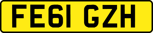 FE61GZH