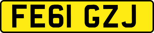 FE61GZJ