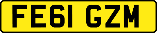 FE61GZM