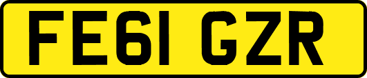 FE61GZR