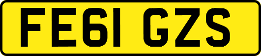 FE61GZS