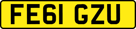 FE61GZU