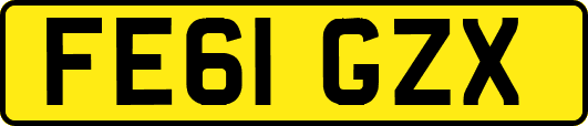 FE61GZX