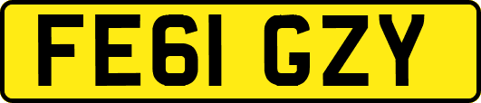 FE61GZY