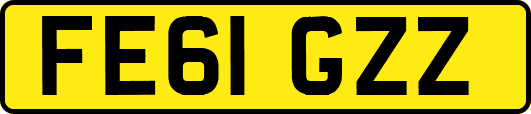 FE61GZZ