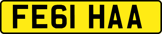 FE61HAA