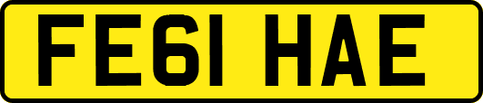 FE61HAE