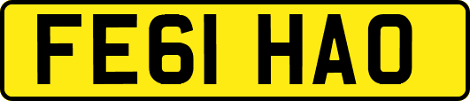 FE61HAO