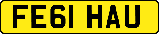 FE61HAU