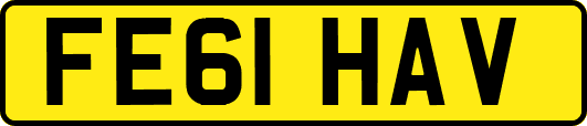 FE61HAV