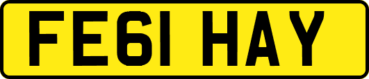 FE61HAY