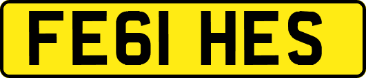 FE61HES