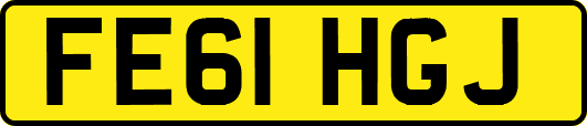 FE61HGJ