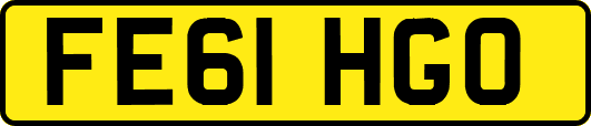 FE61HGO