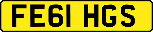 FE61HGS