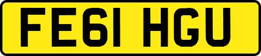 FE61HGU