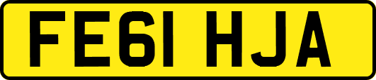 FE61HJA
