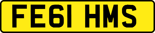 FE61HMS