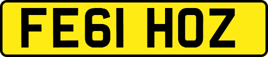 FE61HOZ