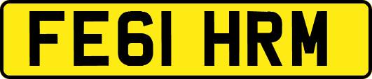 FE61HRM