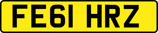 FE61HRZ