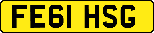 FE61HSG
