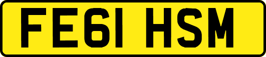 FE61HSM