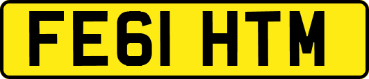 FE61HTM