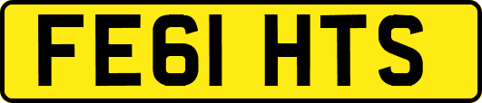FE61HTS