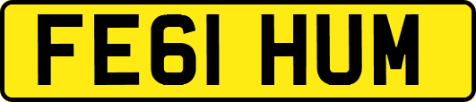 FE61HUM