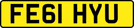 FE61HYU