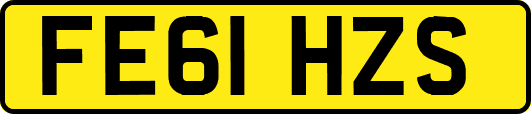 FE61HZS