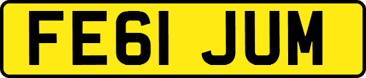 FE61JUM