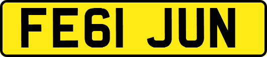 FE61JUN