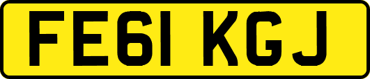 FE61KGJ