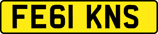 FE61KNS