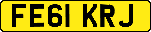 FE61KRJ