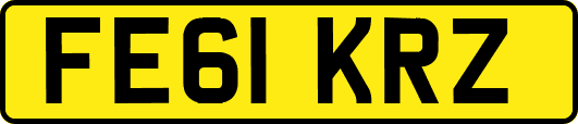 FE61KRZ
