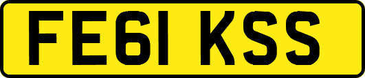 FE61KSS