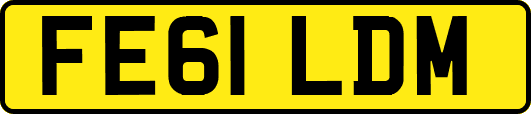 FE61LDM