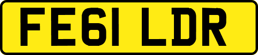 FE61LDR