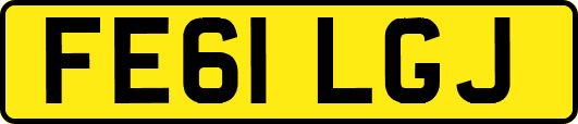 FE61LGJ