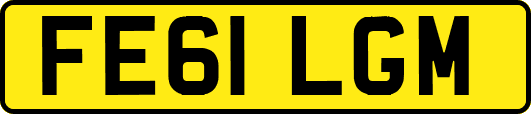 FE61LGM