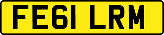 FE61LRM