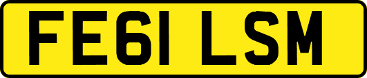 FE61LSM