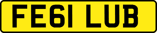 FE61LUB