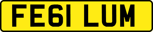 FE61LUM
