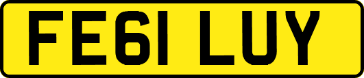 FE61LUY