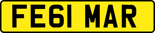 FE61MAR
