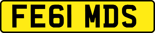 FE61MDS